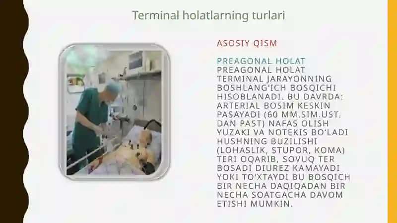 Terminal holatalar 4