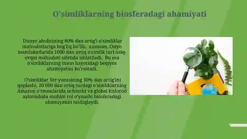Oʻsimliklarning inson va biosferada tutgan oʻrni va muhofazasi 4