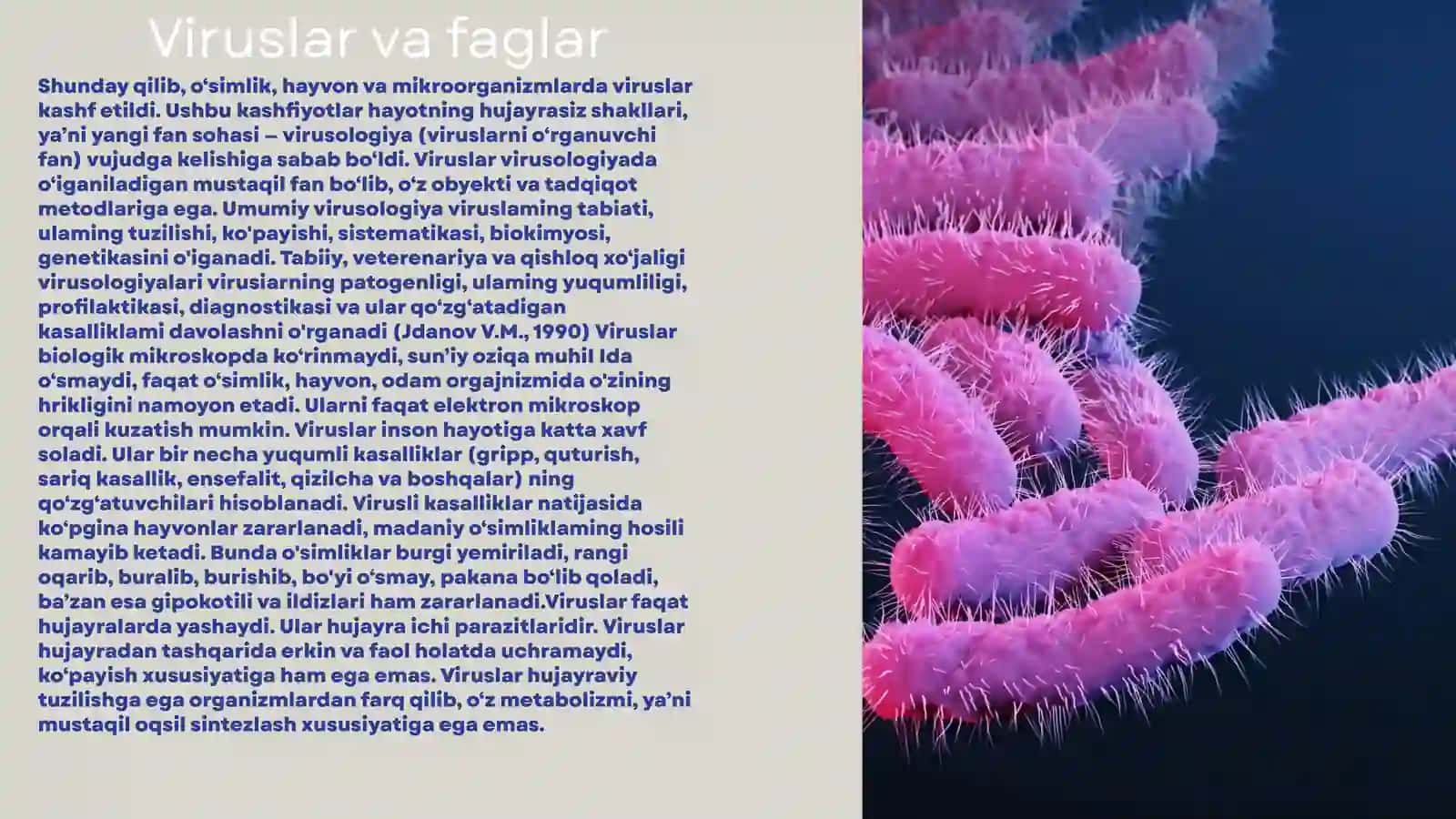 Viruslar va faglar 4