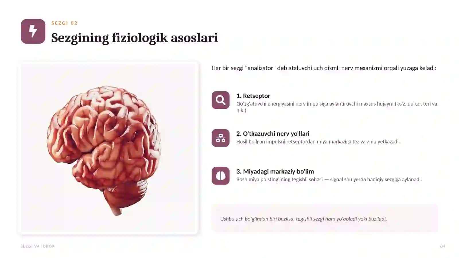 Sezgi va idrokning psixologik mohiyati, fiziologiyasi 4