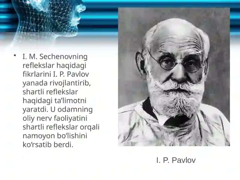 Oliy nerv faoliyati 4
