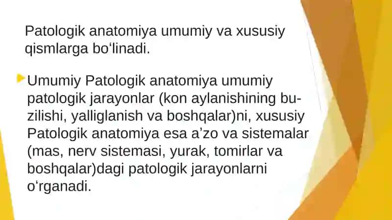 PATOLOGIK ANATOMIYA 4