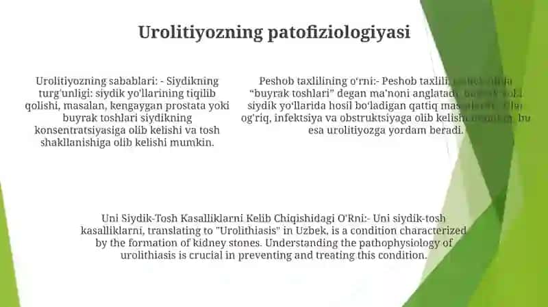 Peshob Taxlili,Uni Siydik-Tosh Kasalliklarni Kelib Chiqishidagi O'Rni 4