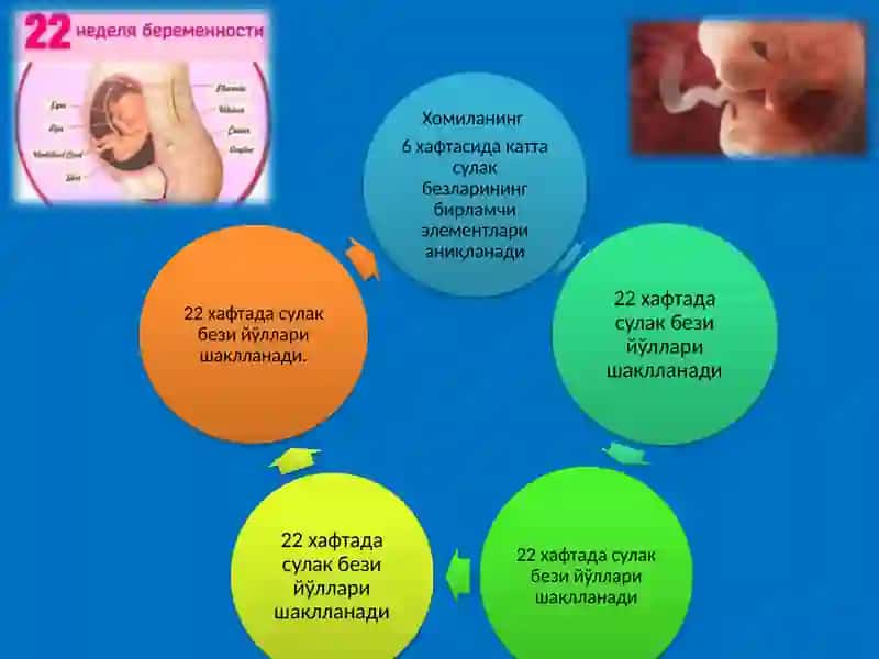 БОЛАЛАРДА СЎЛАК БЕЗЛАРИ ЯЛЛИҒЛАНИШ КАСАЛЛИКЛАРИ 4