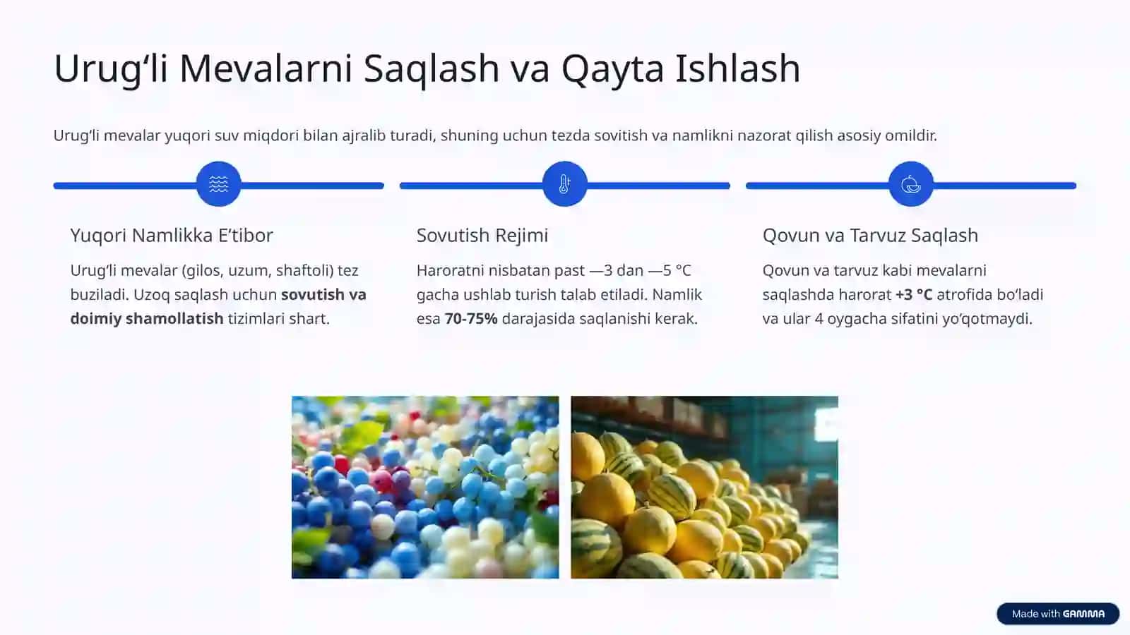 Mevalarni Saqlash va Qayta Ishlash Texnologiyasi 4
