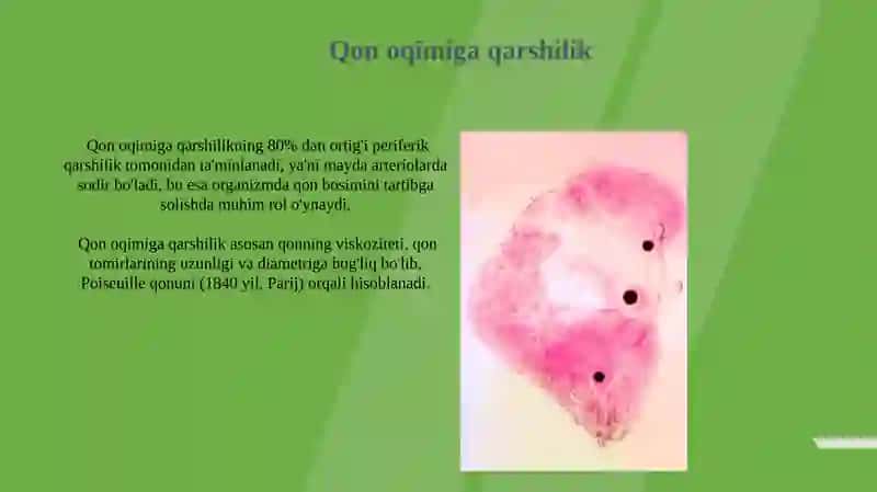 Gemodinamika aosolari 4