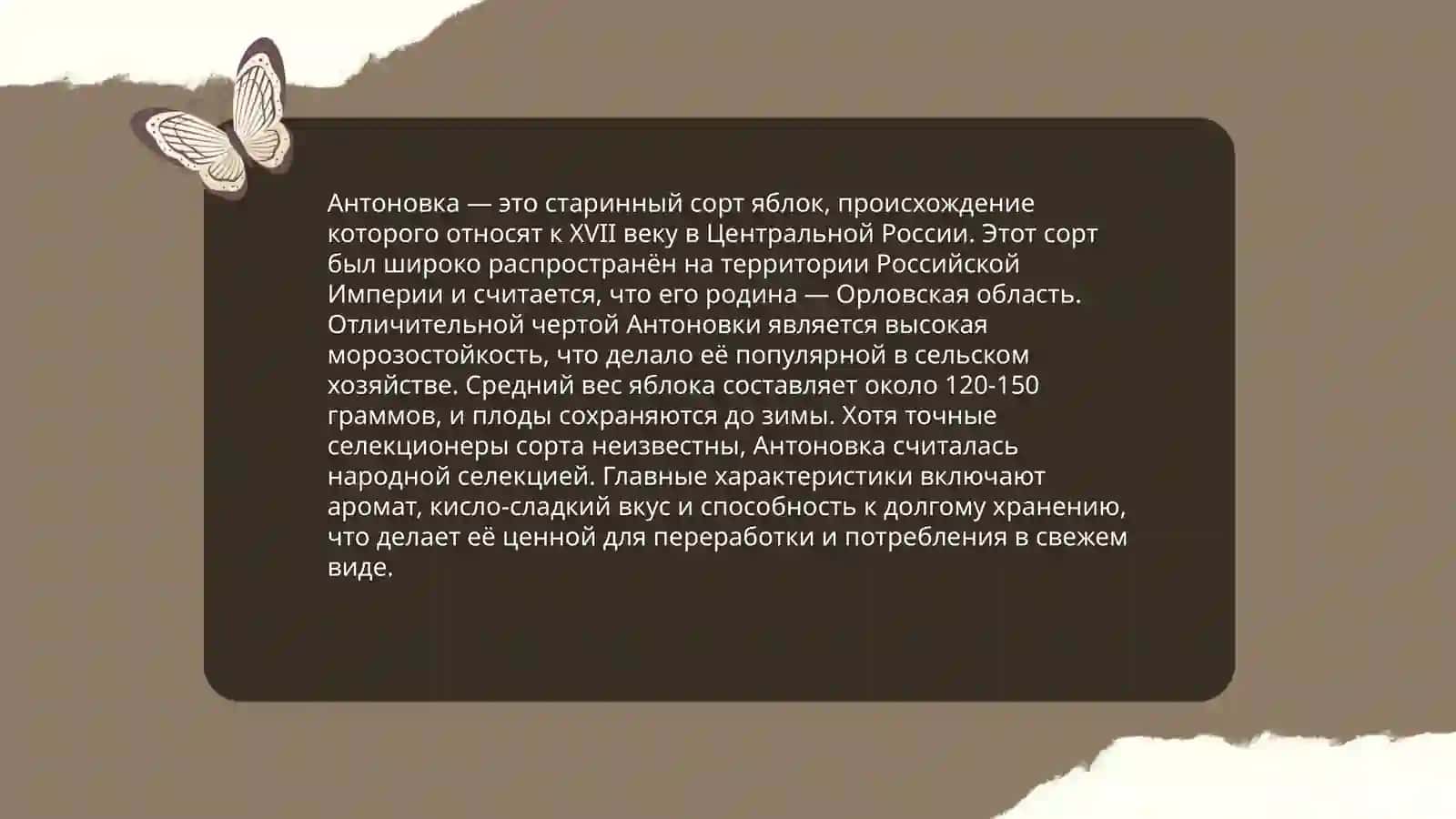 Антоновский яблоки 4