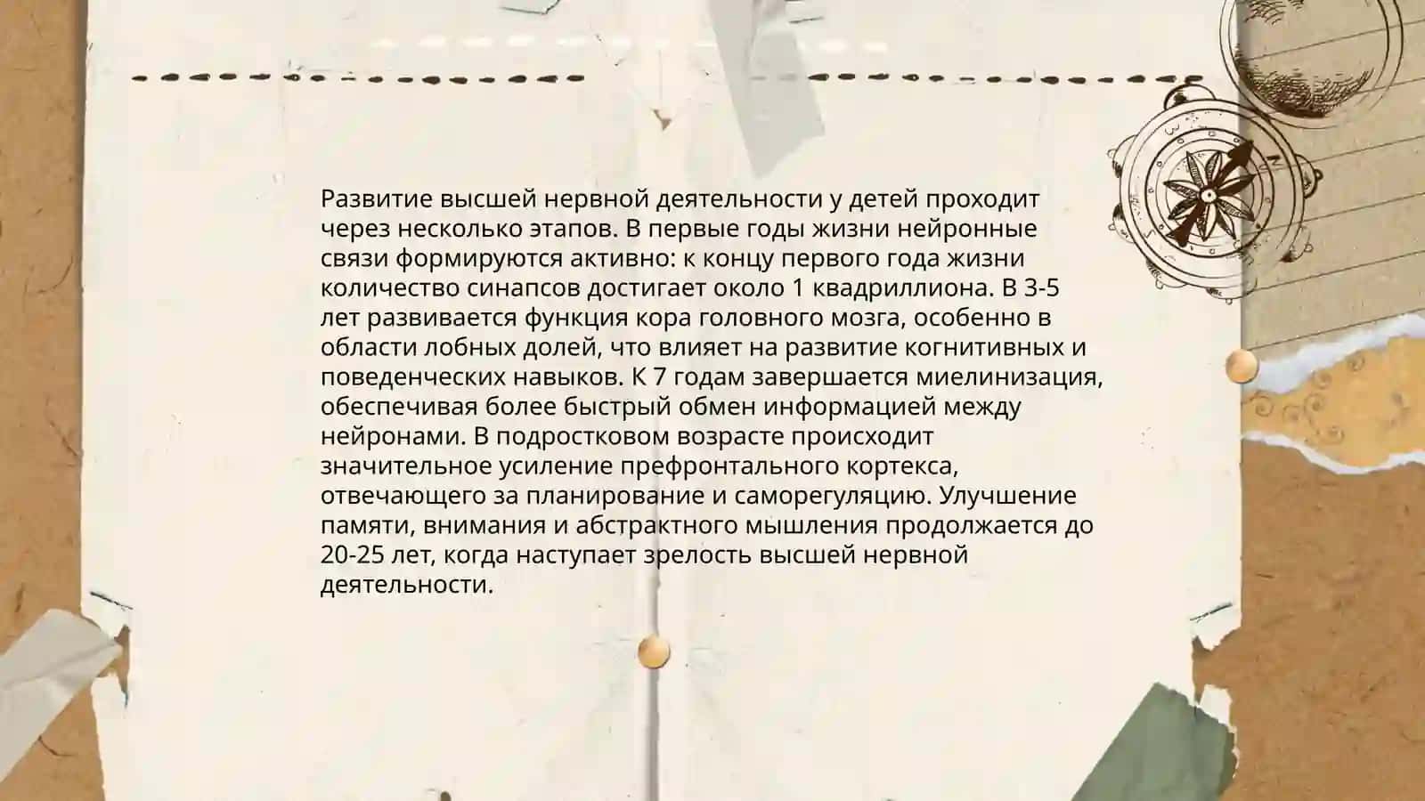 Возрастные особенности высшей нервной деятельности 4