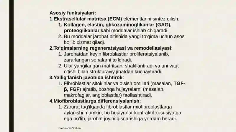Fibroblastlarning jarohatning bitishi va chandiq xosil bo‘lishidagi roli 4