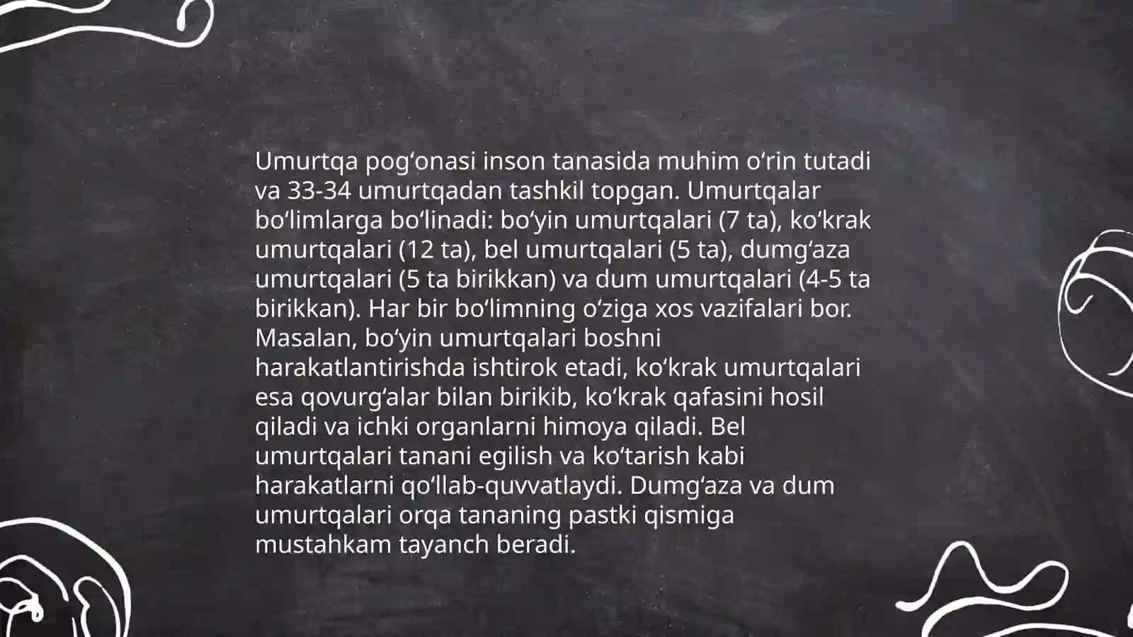 Umurtqalarning umumiy tuzilishi. Ko'krak umurtqasi. Bo'yin umurtqasi. Bel umurtqasi. Dumg'aza suyagi. Dum umurtqasi 4
