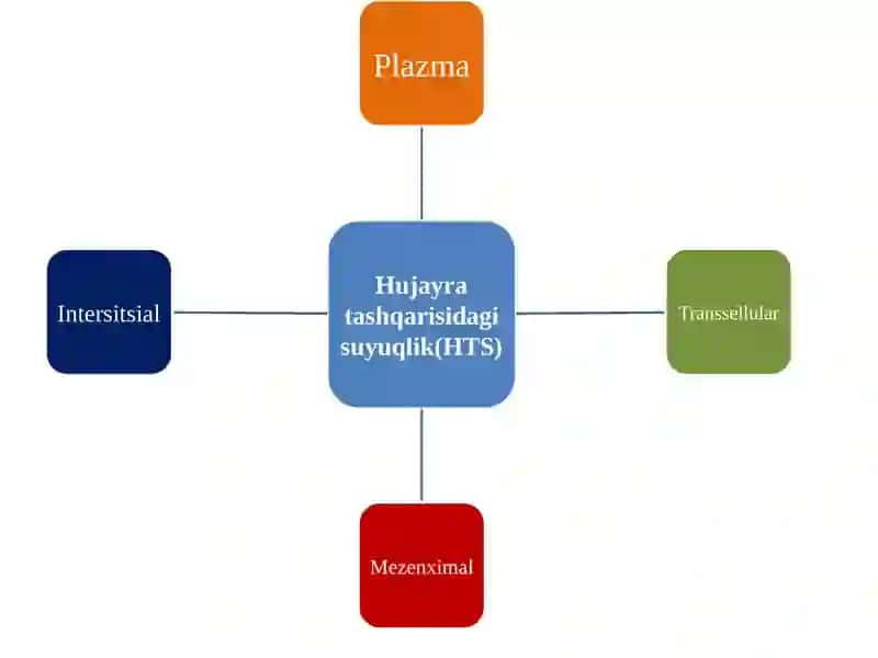 Gomeostaz haqida tushuncha. Organizmning biologik suyuqliklari 4