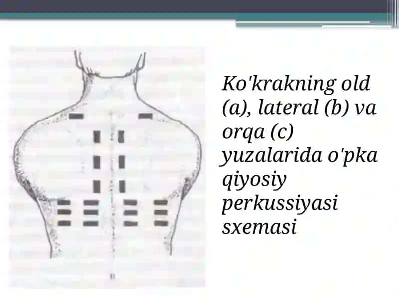 O’pkaperkussiyasi, Palpatsiyasi va Auskultatsiyasi 4