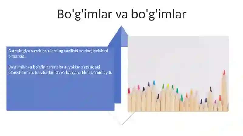 Osteologiya 4