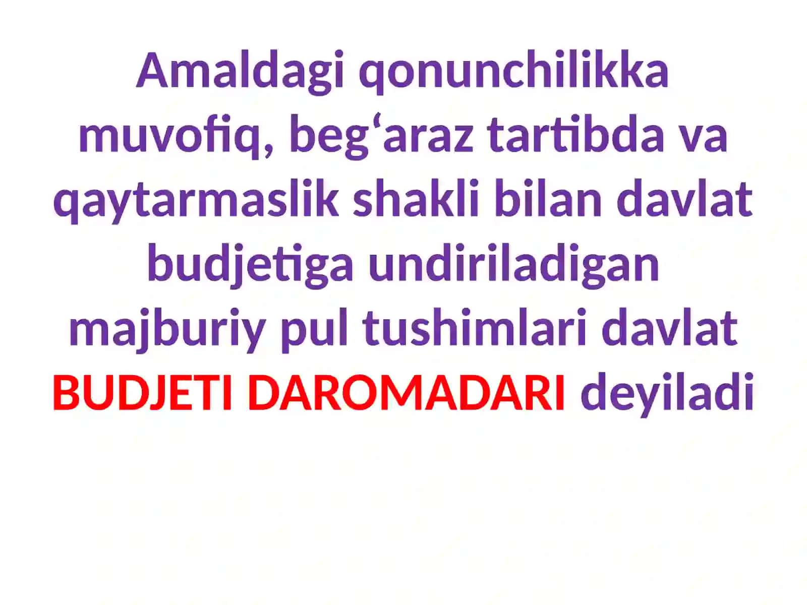 Davlat byudjeti 4