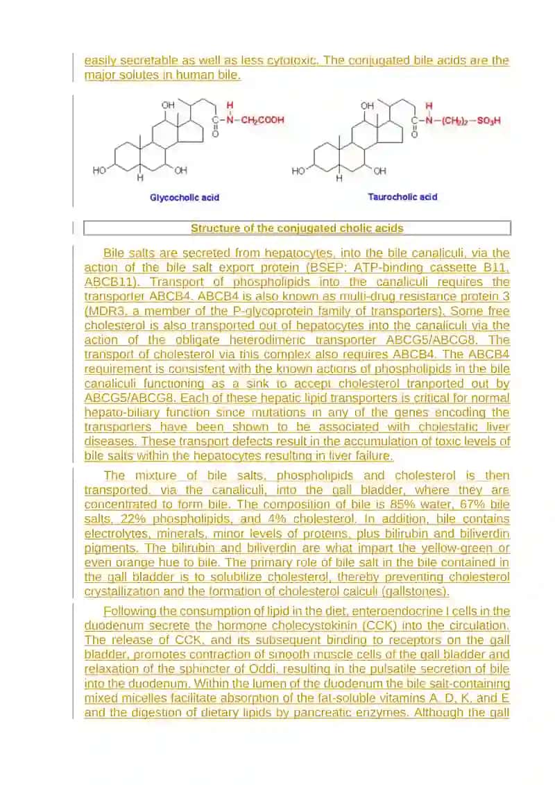 Bile Acid Synthesis and Utilization 4