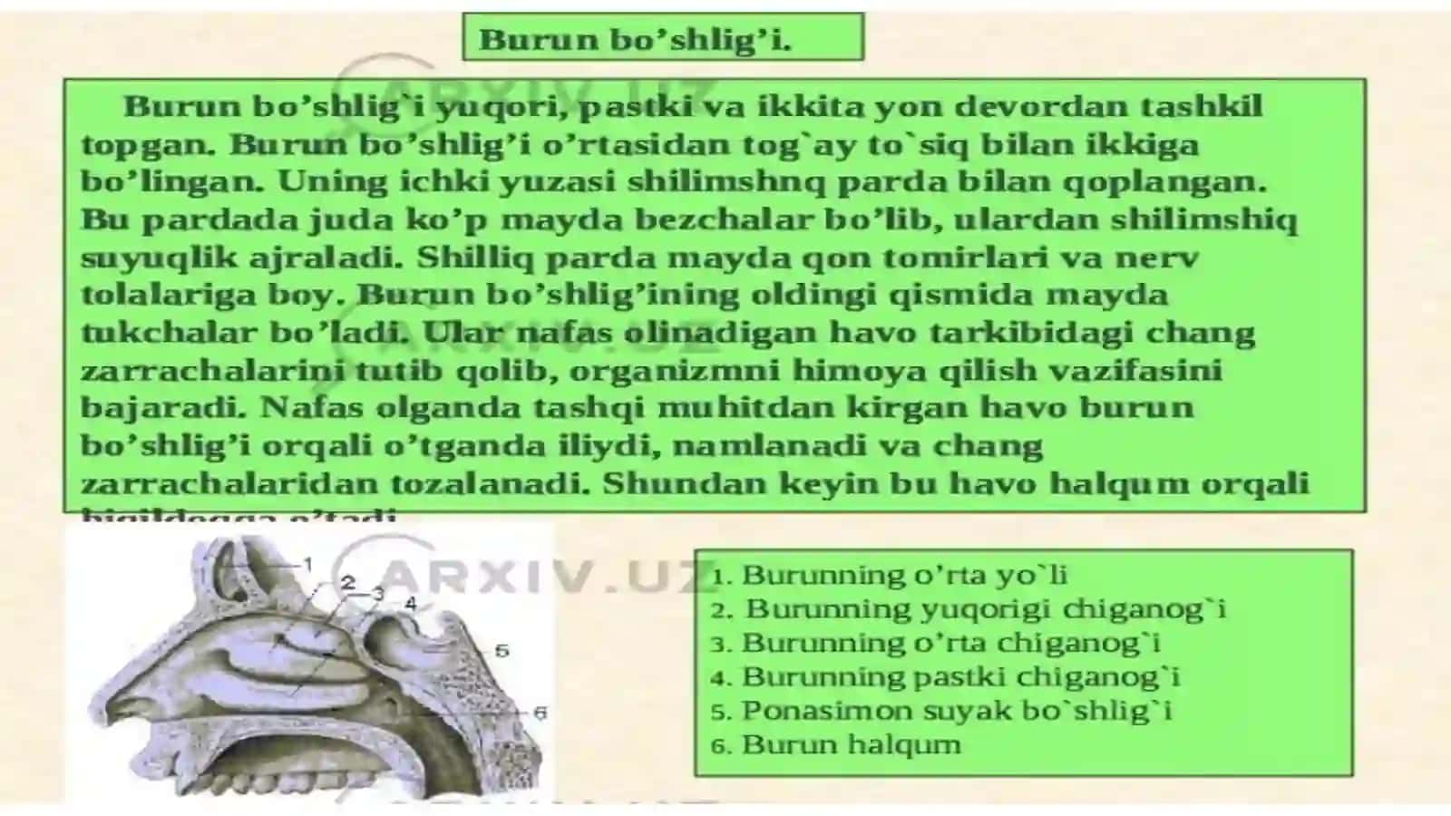 Kop tarmoqli tibbiyot texnikumi hamshiralik ishi 4