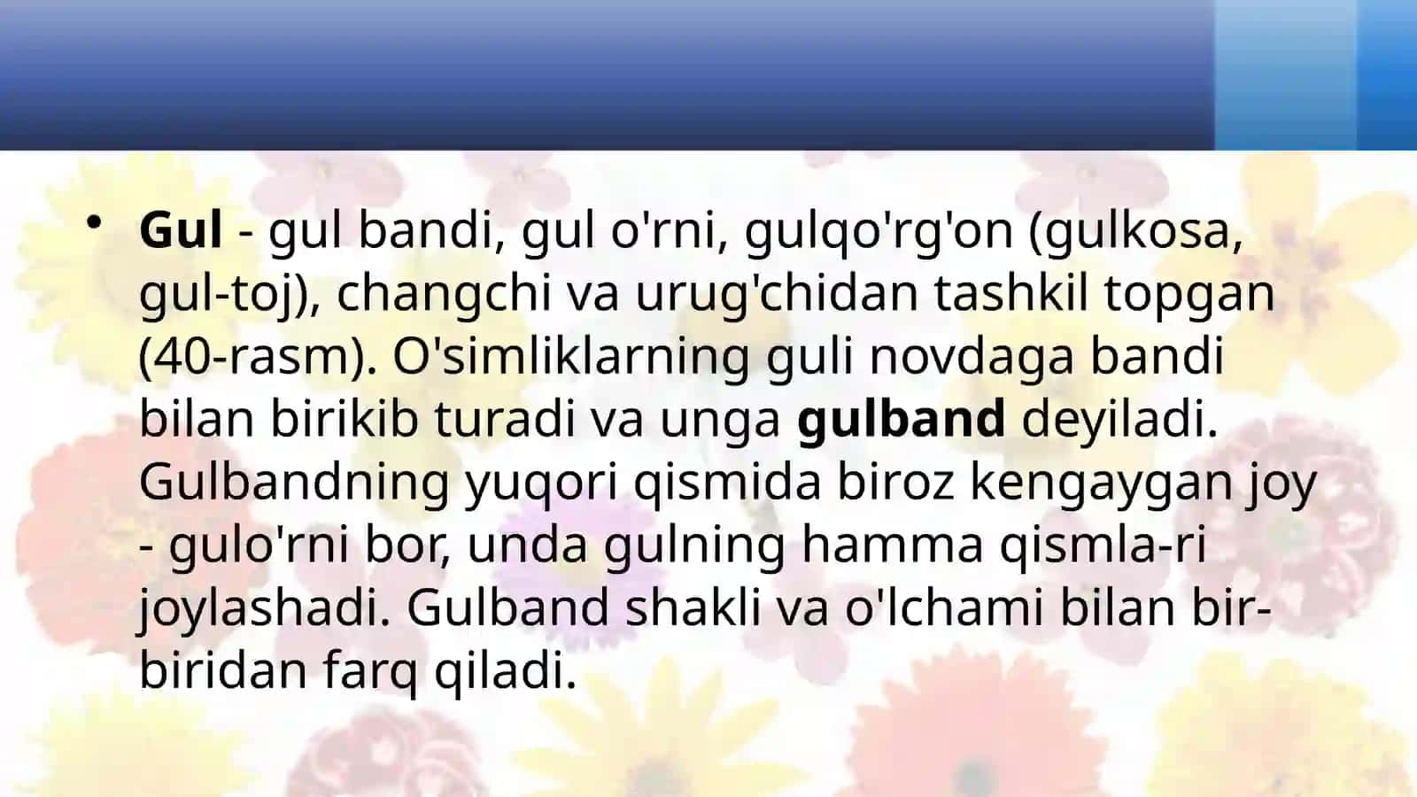 GUL-O'SIMLIKLARNING GENERATIV KO'PAYISH ORGANI 4