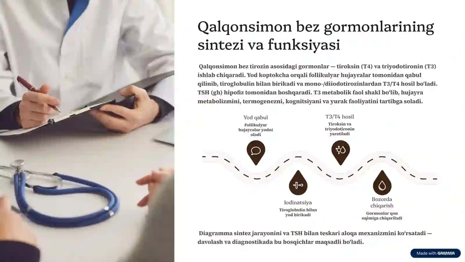 Endemik buqoq va gipotireoz: patogenezi va davolash usullari 4