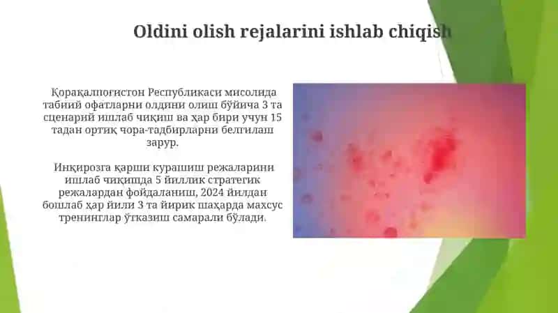 Nizoli vaziyatlarni oldini olish strategiyalari 4