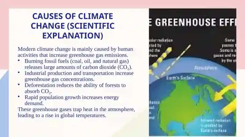 Climate Change: Economic Impact and Solutions. Discuss policies like carbon pricing 4