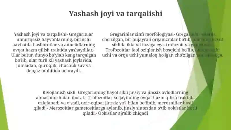 Gregarinalar (Gregarinea)Sinfi Tuzilishi Va Rivojlanish Sikli 4
