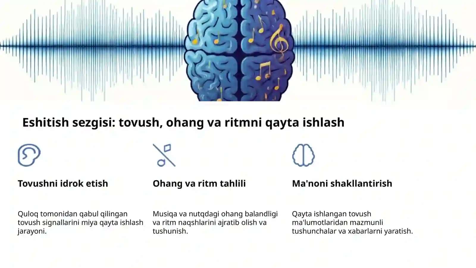 Sezgi psixologiyasi: hissiy dunyo 4