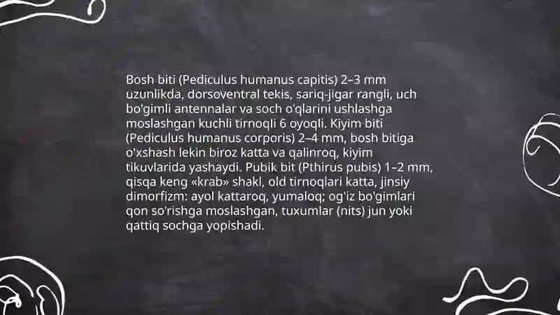 Tibbiyotda ahamiyatga ega bo'lgan Hasharotlar: Bit, Burga 4