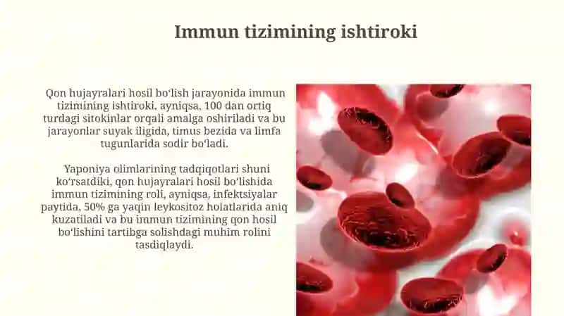 Qon hujayralarining differentsiatsiyasi 4