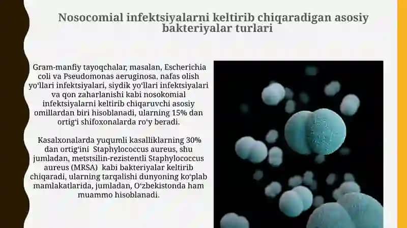 Havodagi Bakteriyalar Ifloslanishining Ahamiyati 4