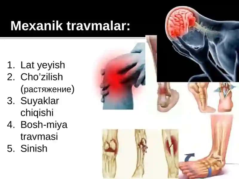 Tashqi muhit omillarining organizmga patogen ta’siri 4