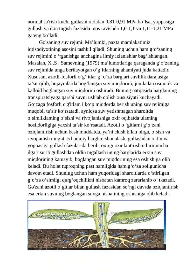 Sug‘oriladigan dehqonchilikning fiziologik asoslari 4