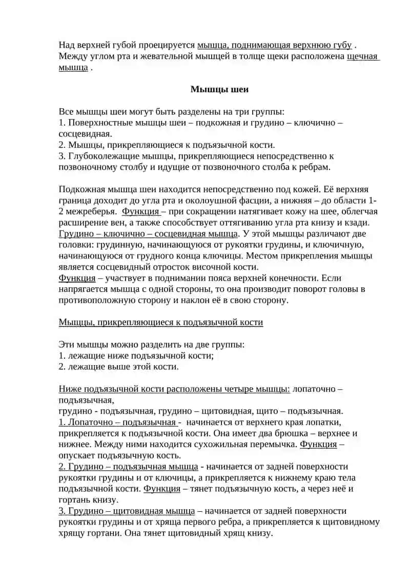 Мышцы головы и шеи. Мышцы туловища. Движения туловища 4