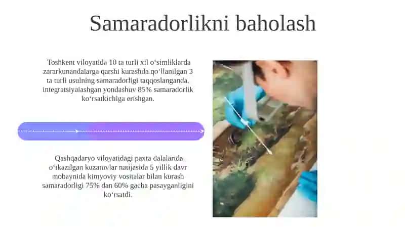 Zararkunandalarga qarshi kurash strategiyasini optimallashtirish 4