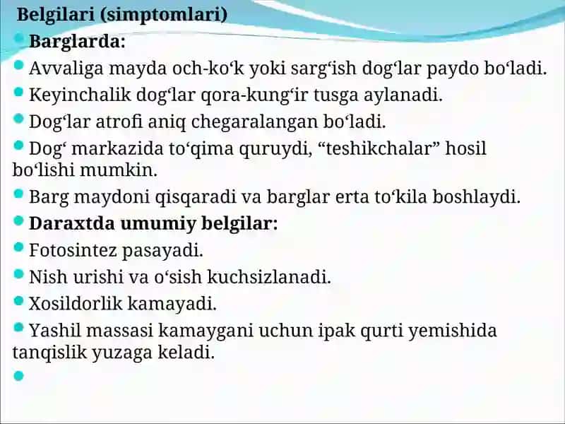 Tut kasalliklari va ularga qarshi kurash choralari 4
