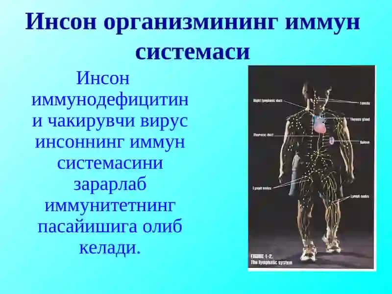 ОИВ/ОИТС 4