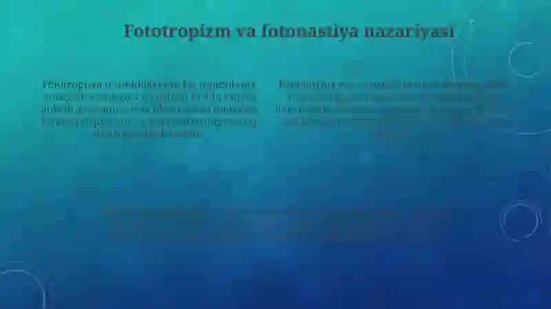 Fototropizm, fotonastiya mavzusida tajriba darsi 4