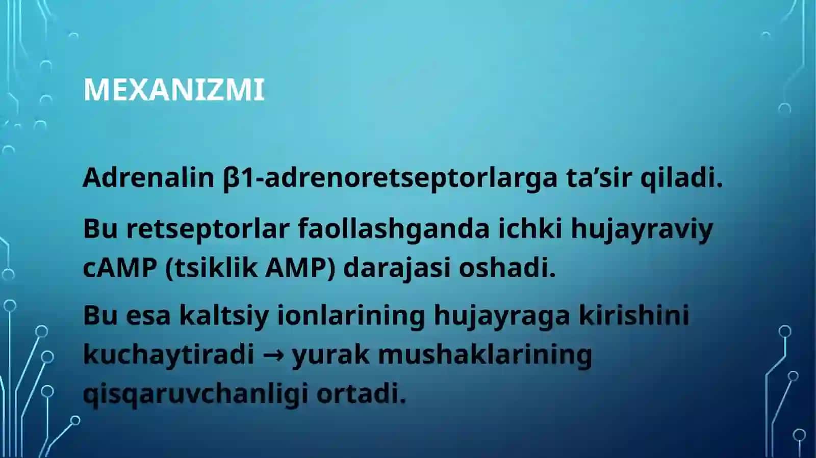 Adrenalin (Epinefrin) 4