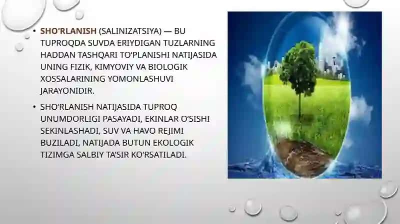 Shoʻrlangan mintaqalarda ekologik muammolarni kelib chiqishi 4