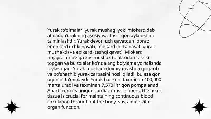 Yurak anatomiyasi va fiziologiyasi. Yurak qon tomirlari 4