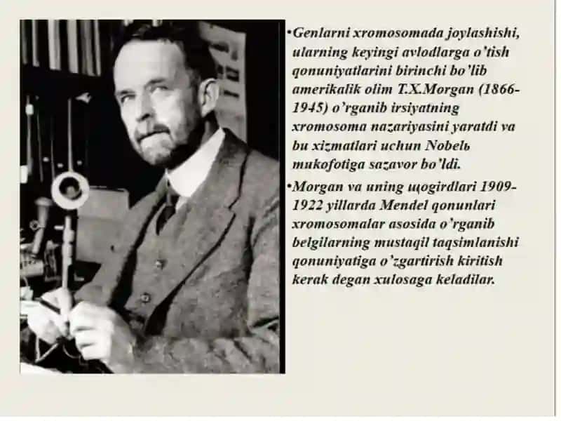 IRSIYATNING XROMOSOMA NAZARIYASI 4
