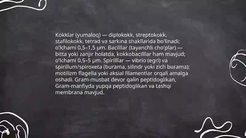 Bakteriya Ergashaliyeva shohruza 4
