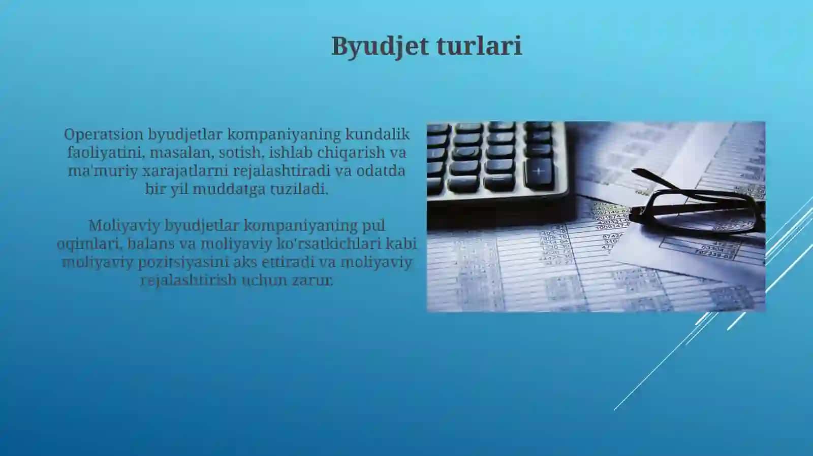 Byudjet tushunchasi, turlari va ahamiyati 4