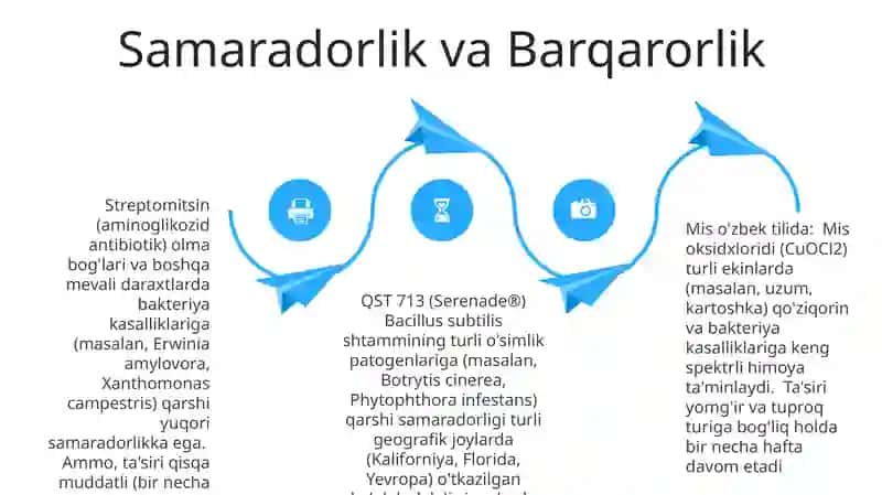 Oʻsimliklarni mikroorganizmlardan himoyalashda aktiv moddalarda foydalanish 4