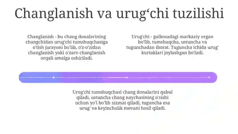 Changlanish biologiyasi va qo'sh urug'lanish jarayoni 4