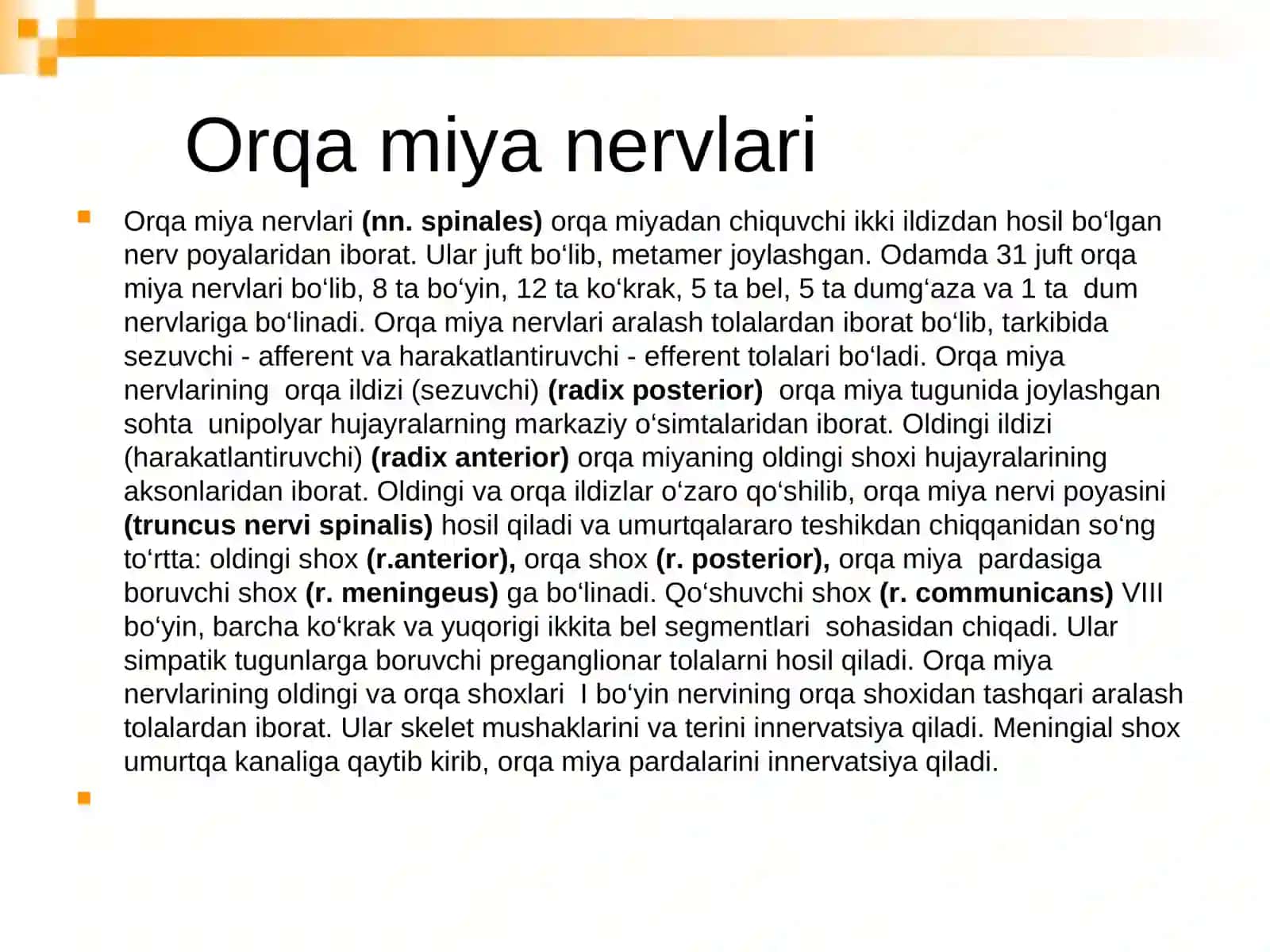 Orqa miya nervlari va yelka chigali 4