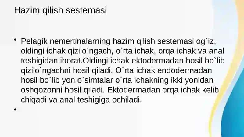 Pelagik nemertinalar 4