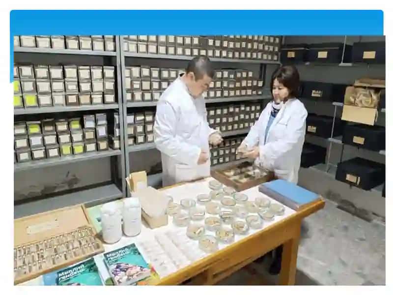 O’simliklar genetik resurslari ilmiy-tadqiqot instituti 4