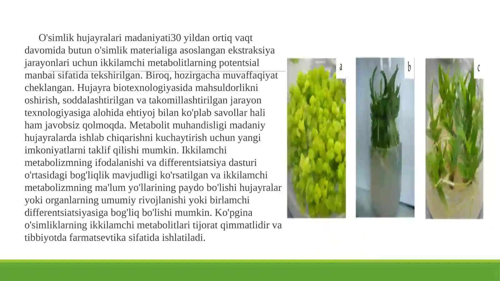 O‘SIMLIK HUJAYRALARI KULTURALARIDAN FOYDALANISH ISTIQBOLLARI 4