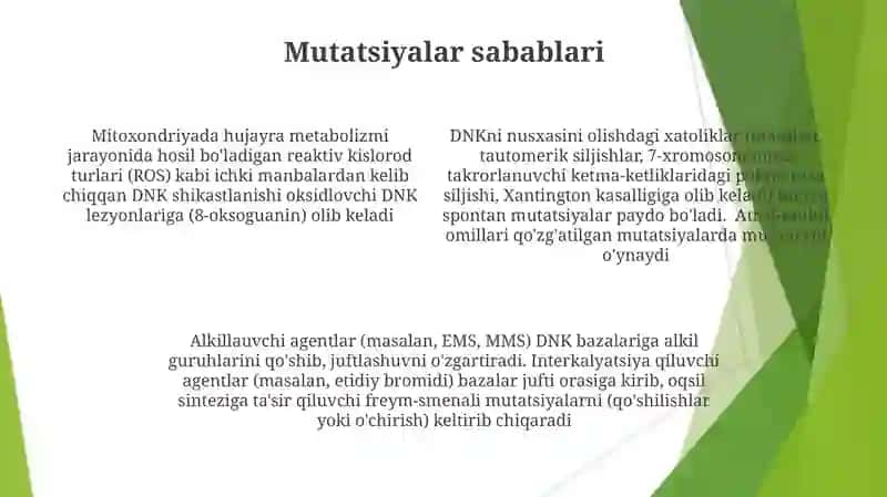 DNK mutatsiyasi 4