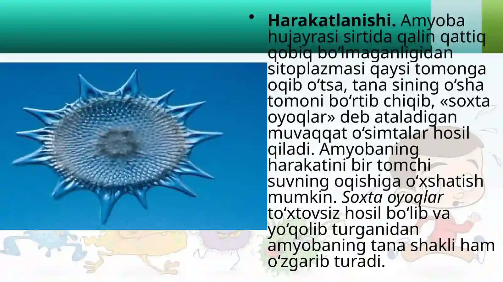 7-sinf Zoologiya 'Soxta oyoqlilar sinfi' ko'rgazma 4